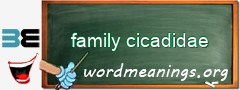 WordMeaning blackboard for family cicadidae